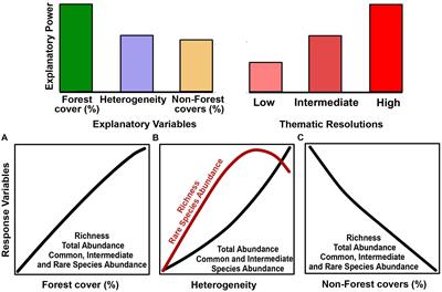 The Interplay Between Thematic Resolution, Forest Cover, and Heterogeneity for Explaining Euglossini Bees Community in an Agricultural Landscape